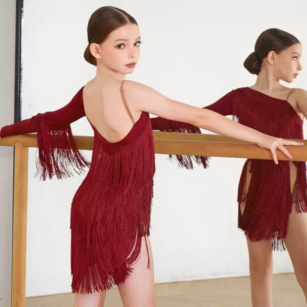 Z Girls One-Shoulder Tassel  Performance Dance Dresses Dancewear - Image 3