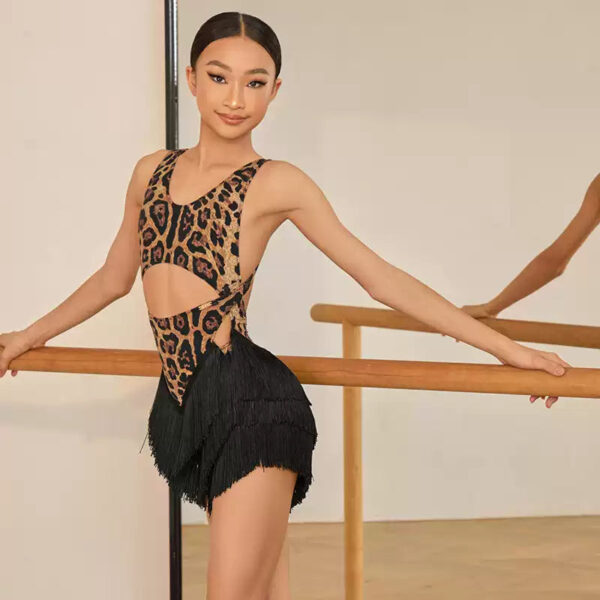 Z Girls Tassel Sleeveless Performance Dance Dresses Dancewear - Image 9