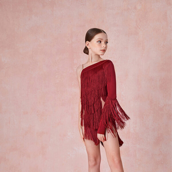 Z Girls One-Shoulder Tassel  Performance Dance Dresses Dancewear - Image 4