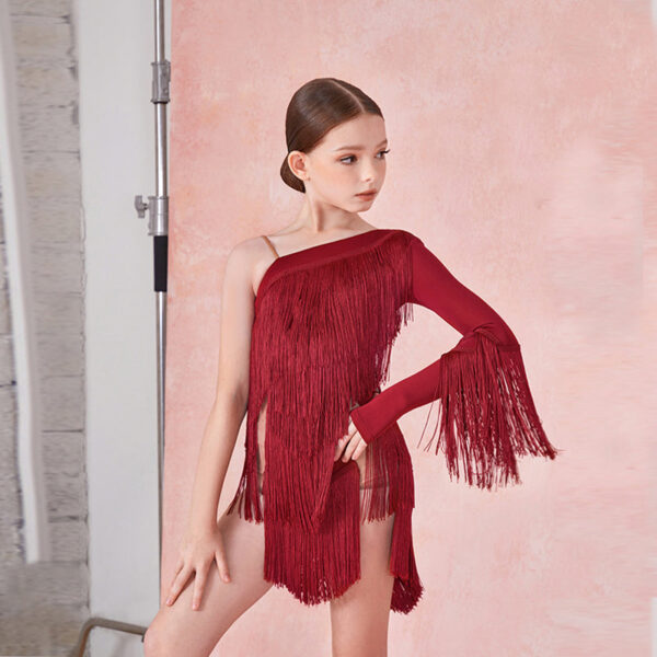 Z Girls One-Shoulder Tassel  Performance Dance Dresses Dancewear - Image 5