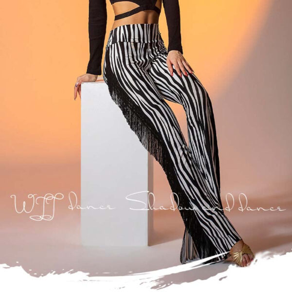 WJJ Women's High-waist Tassels Latin Dancewear Training Performance Dance Pants - Image 2