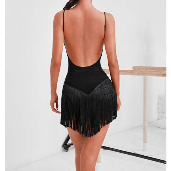 Z Women's Tassels Latin Dance Skirt Dance Wear Training Performance Skirts - Image 5