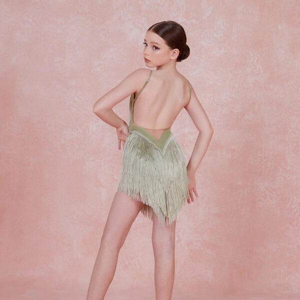Z Girls Tassel Sleeveless V Neck Performance Dance Dresses Dancewear - Image 8