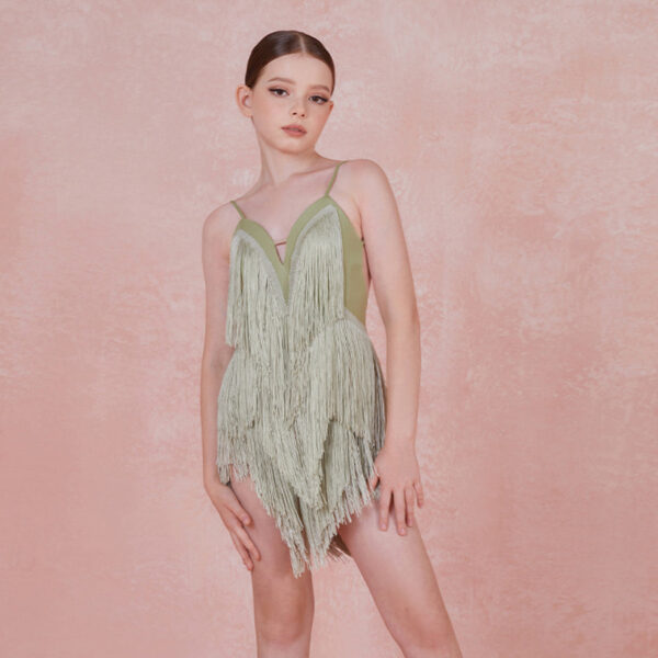 Z Girls Tassel Sleeveless V Neck Performance Dance Dresses Dancewear - Image 6