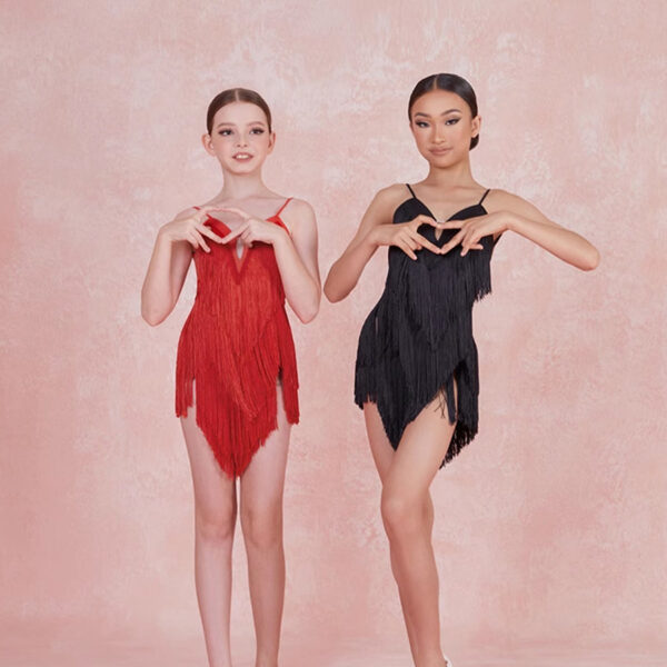 Z Girls Tassel Sleeveless V Neck Performance Dance Dresses Dancewear - Image 2