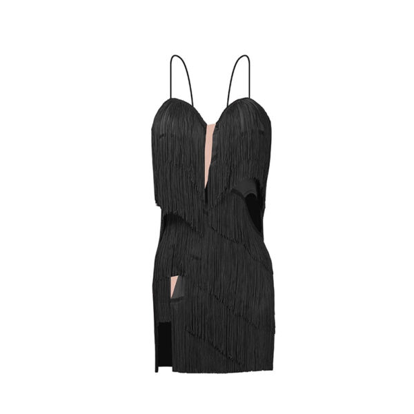 Z Women's Milk Silk Fabric Tassel Dance Dress Dance Wear Training Performance Dress - Image 6