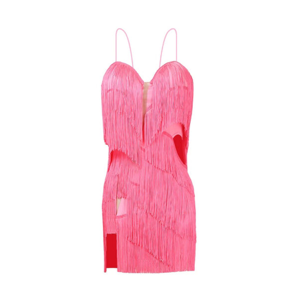 Z Women's Milk Silk Fabric Tassel Dance Dress Dance Wear Training Performance Dress - Image 3