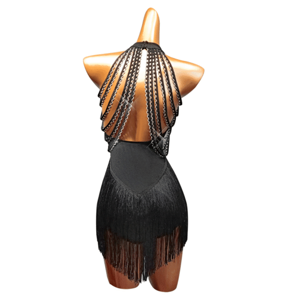 Women's Spandex Splicing Tassel Dance Dress Dance Wear Training Performance Dress - Image 6